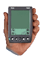 Palm Pilot Professional
